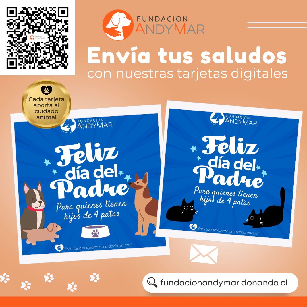 Mascotas afectadas por los incendios.