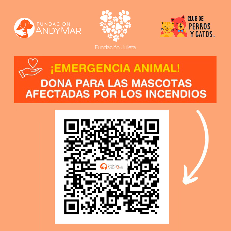 Mascotas afectadas por los incendios.