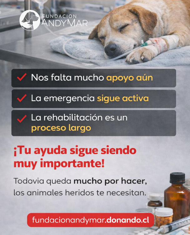 Animales afectados de Cabrero