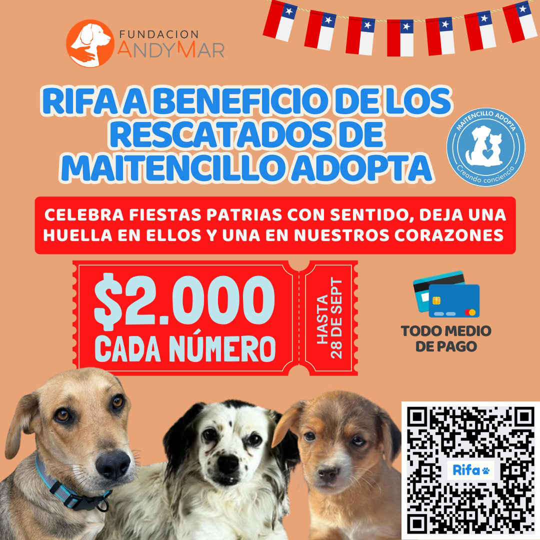 Mascotas afectadas por los incendios.