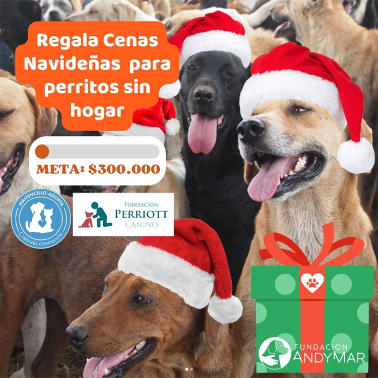 Cenas Navideñas