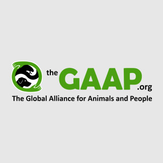 The GAAP Org.