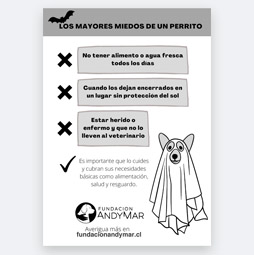 Miedo Perruno