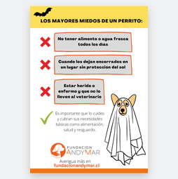 Miedo Perruno